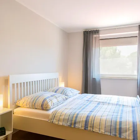 Pinia Медулин